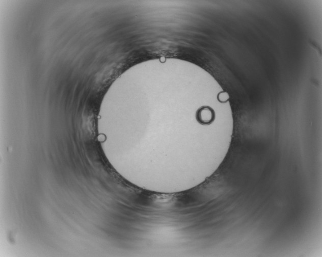 X0000103950088200810171849