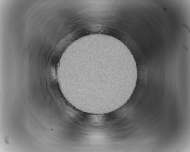X0000103950089200810171849