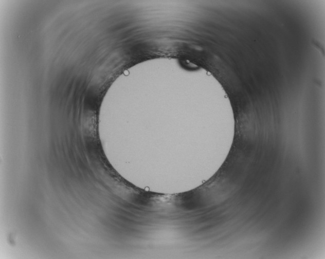 X0000103950092200810171849