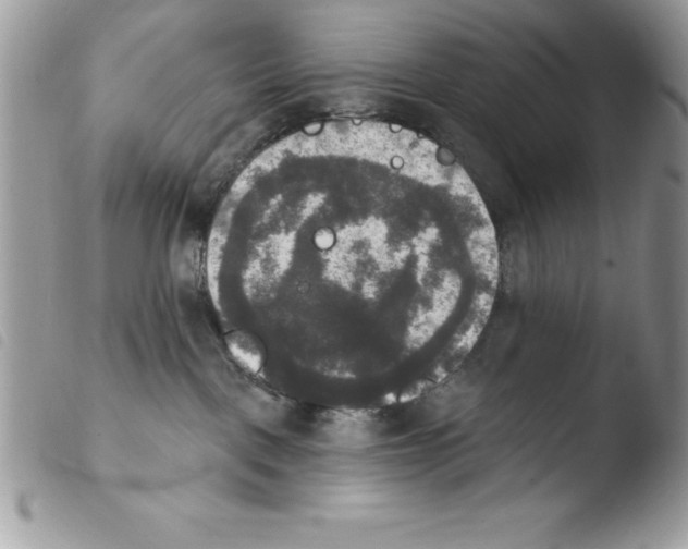 X0000103950093200810171849