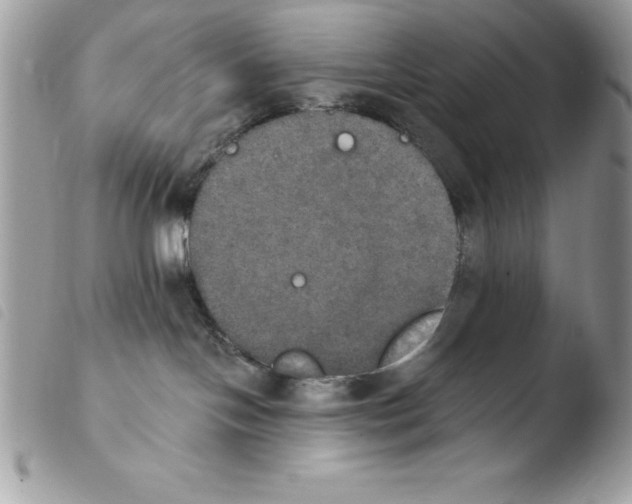 X0000103950094200810171849
