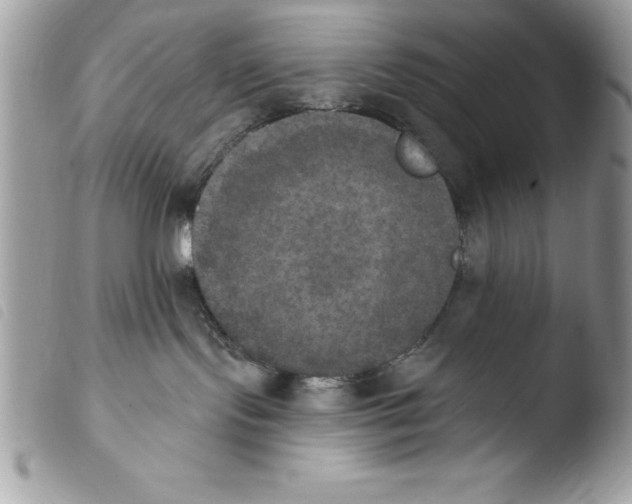 X0000103950095200810171849