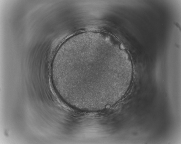 X0000103950097200810171848