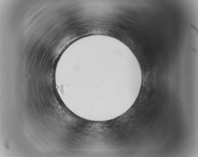 X0000103950098200810171848