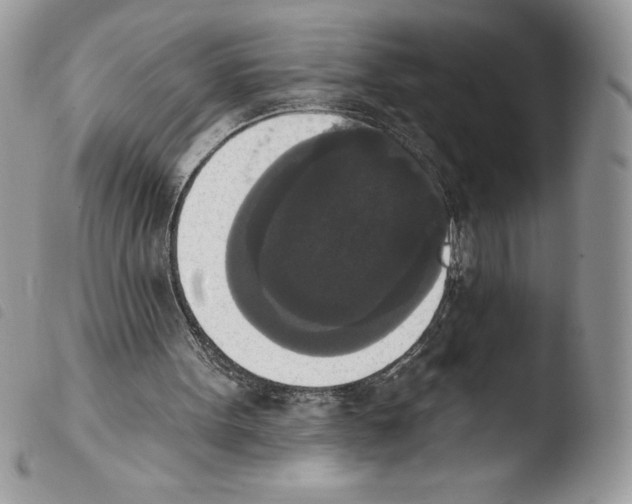 X0000103950099200810171848