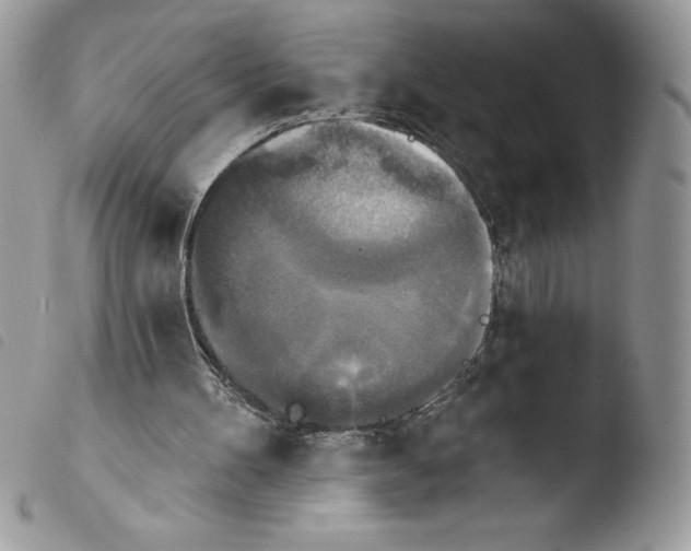 X0000103950100200810171848
