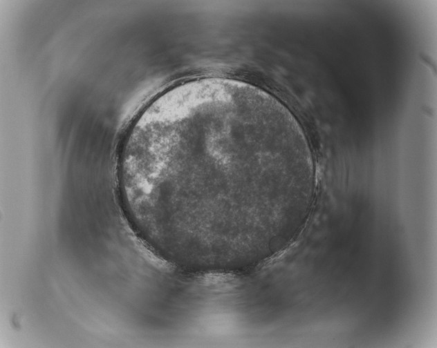 X0000103950101200810171848