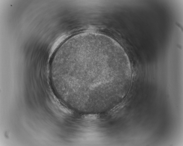 X0000103950102200810171848