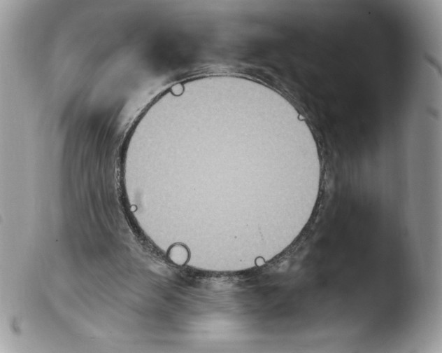 X0000103950103200810171848