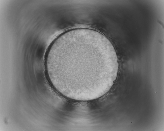 X0000103950104200810171848