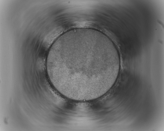 X0000103950105200810171848