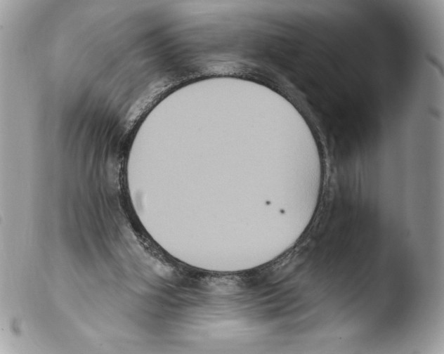X0000103950106200810171848