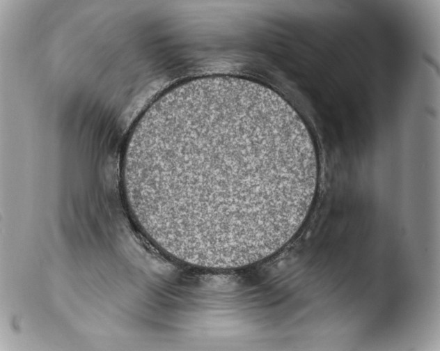X0000103950107200810171848