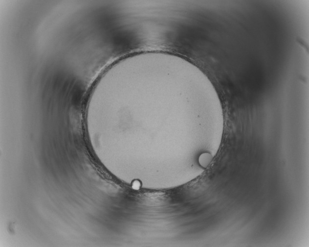 X0000103950108200810171848
