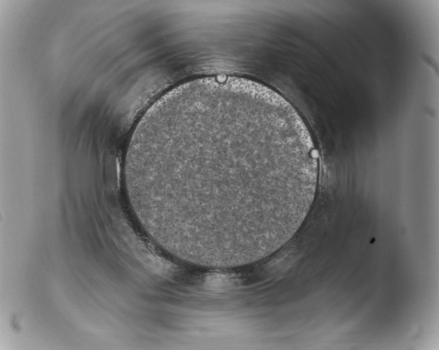 X0000103950109200810171848
