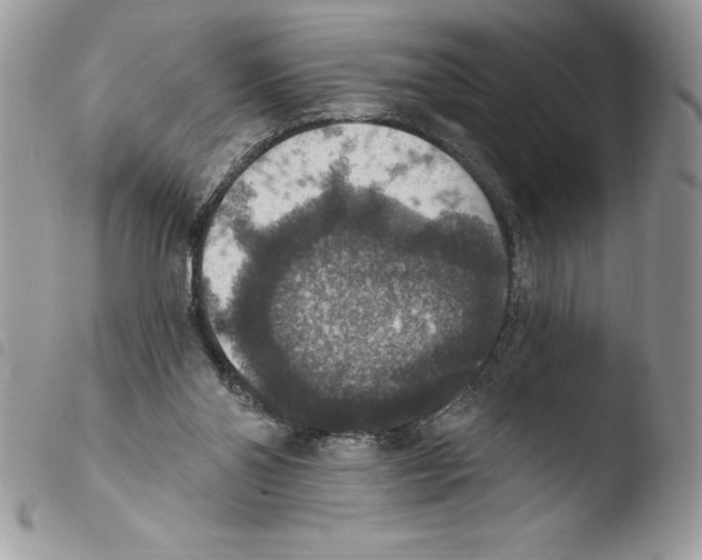 X0000103950110200810171848