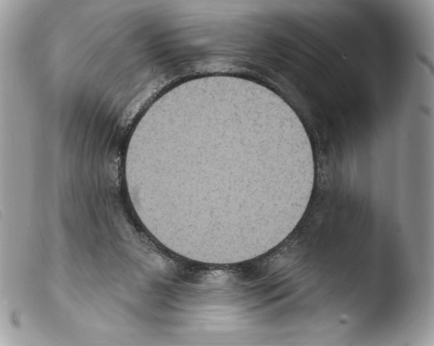 X0000103950111200810171848