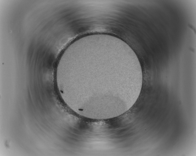 X0000103950112200810171848