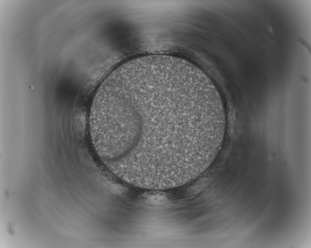 X0000103950113200810171848