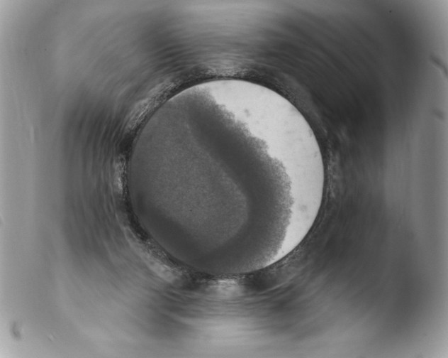 X0000103950114200810171848