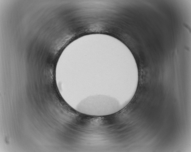 X0000103950116200810171848