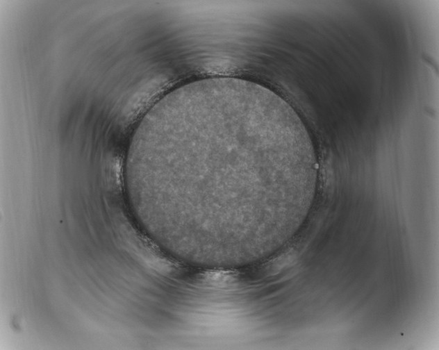 X0000103950117200810171848