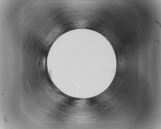 X0000103950118200810171848