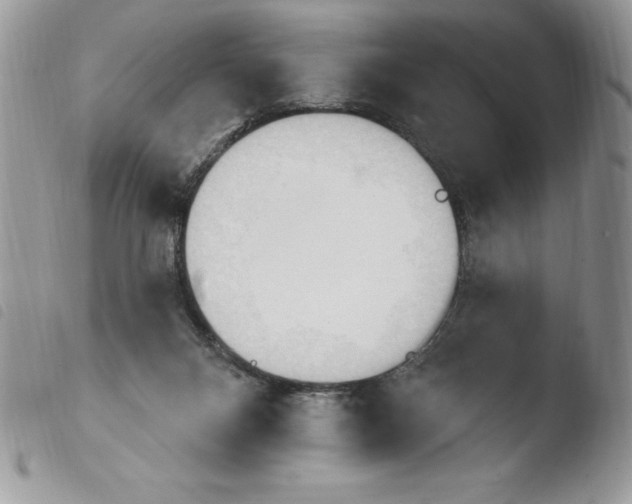 X0000103950120200810171848