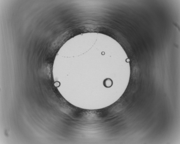 X0000103950121200810171848
