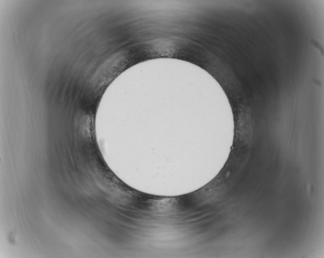 X0000103950122200810171848