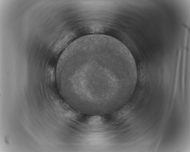 X0000103950123200810171848