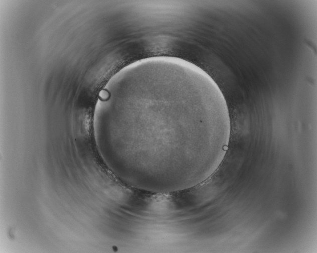 X0000103950124200810171848