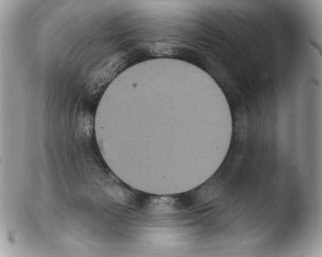 X0000103950125200810171848
