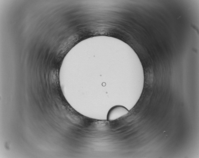 X0000103950126200810171848
