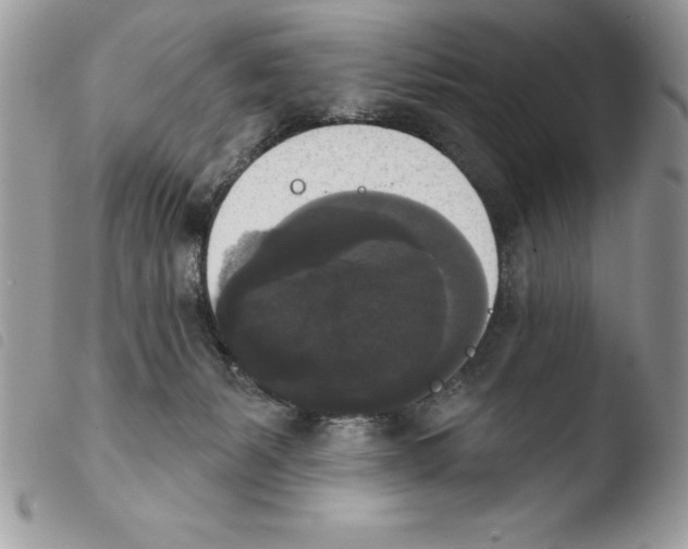 X0000103950127200810171848