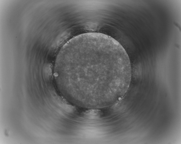 X0000103950128200810171848