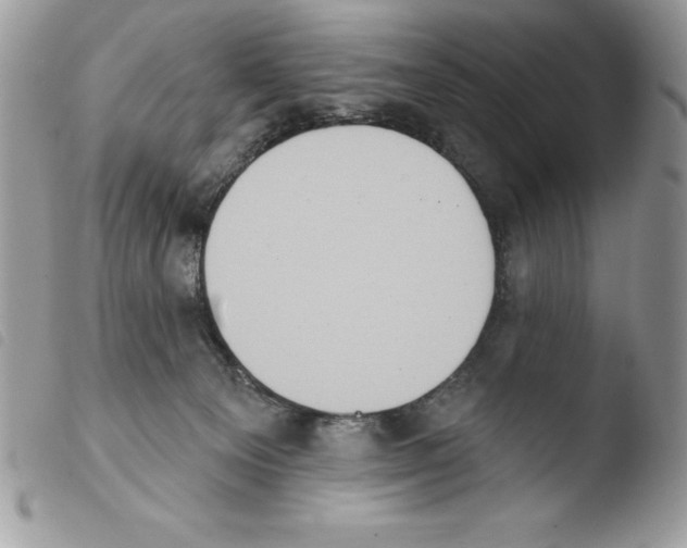 X0000103950129200810171848