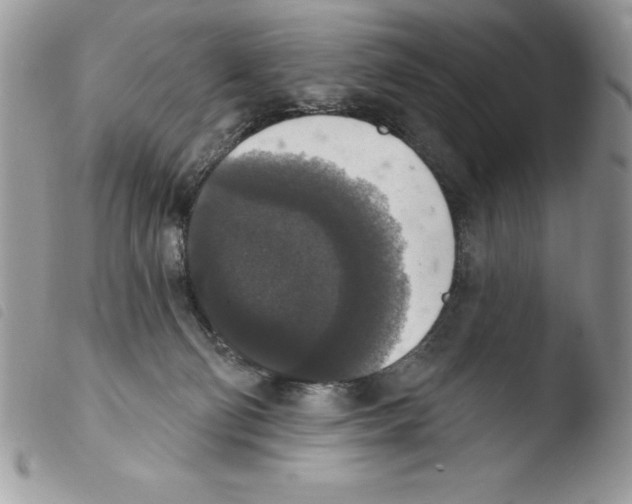 X0000103950130200810171848