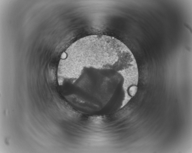 X0000103950131200810171847