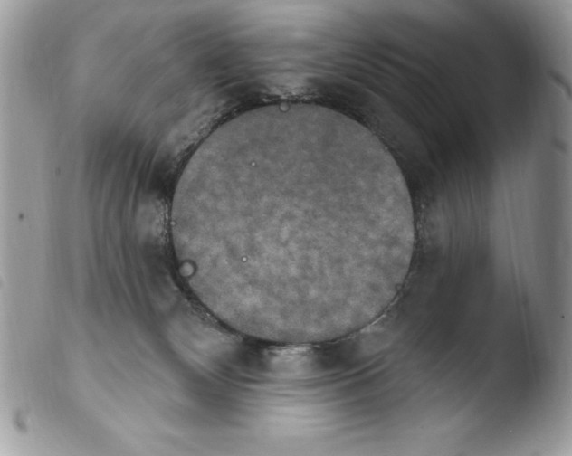 X0000103950132200810171847