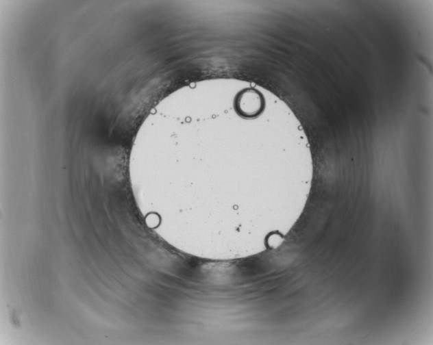 X0000103950133200810171847