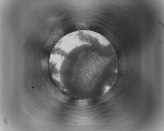 X0000103950134200810171847