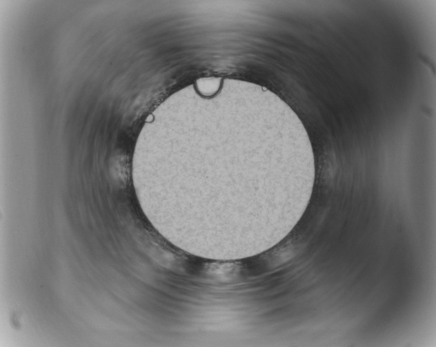 X0000103950135200810171847