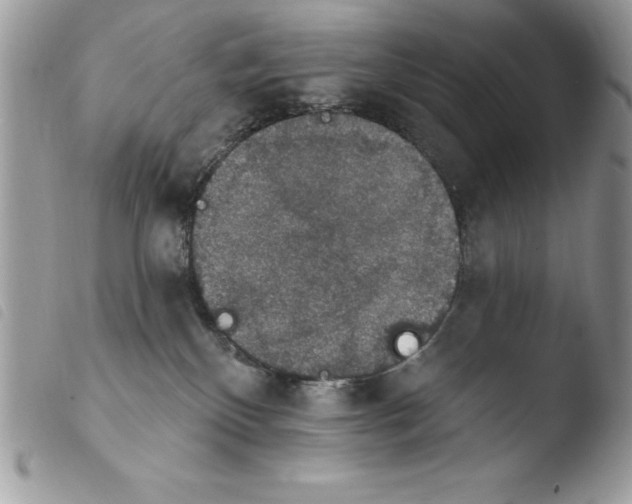 X0000103950136200810171847