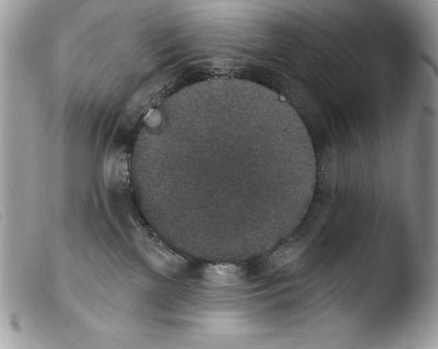 X0000103950137200810171847