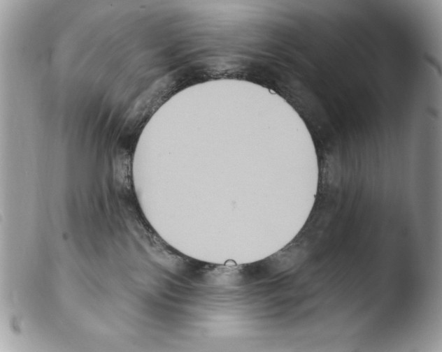 X0000103950138200810171847