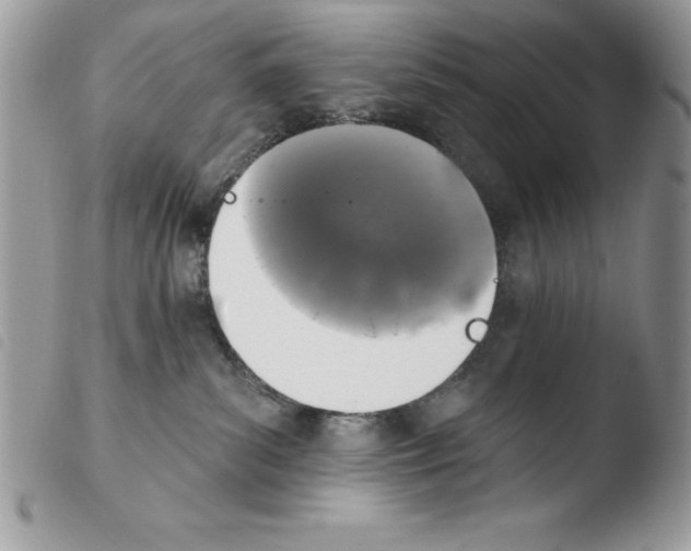 X0000103950139200810171847