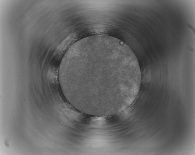 X0000103950140200810171847