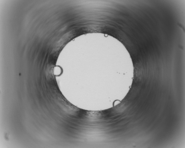 X0000103950141200810171847