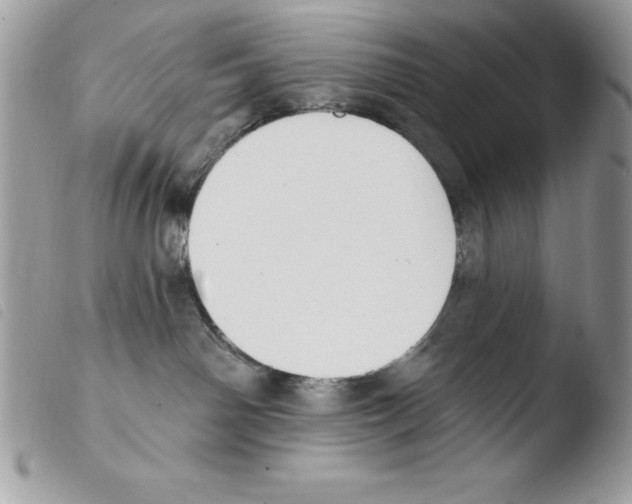 X0000103950142200810171847